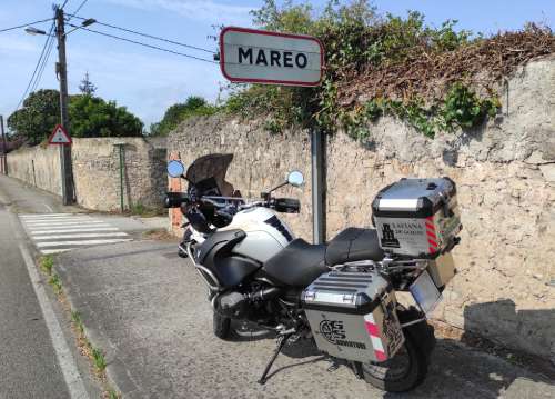 Mareo